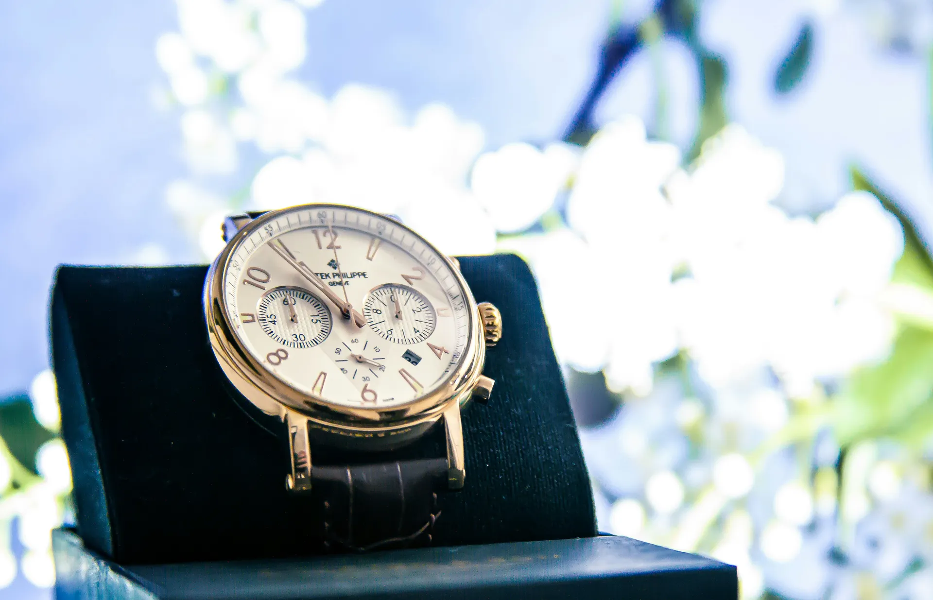 Patek Philippe or rose